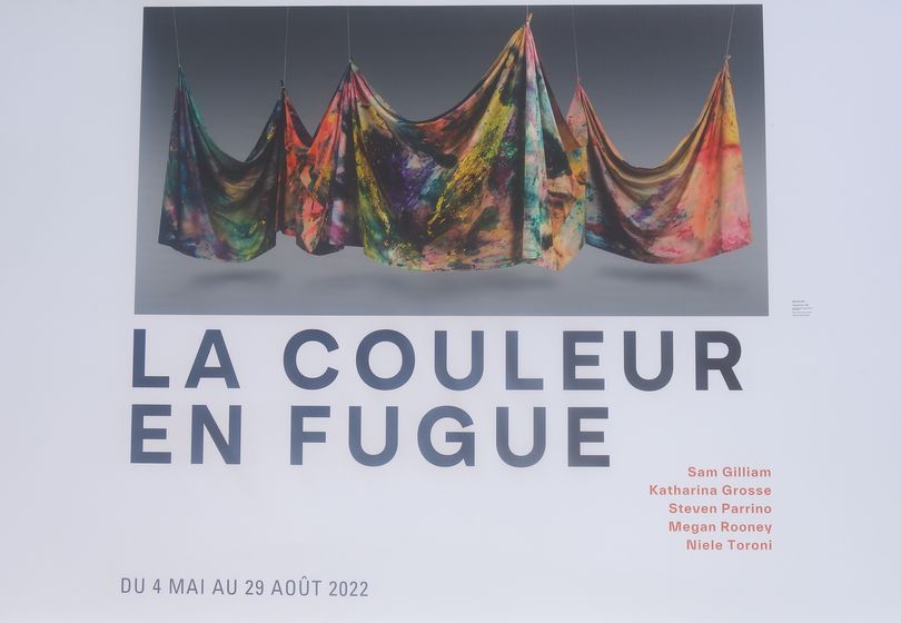 Megan Rooney, at Fondation Louis Vuitton La Couleur en Fugue